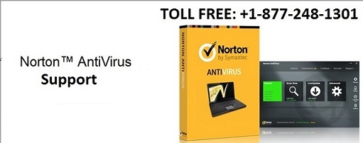 Norton Antivirus Support | Tricolite Tech Support 